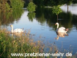 Plötzky Alte Ziegelei / Haberlandbrücke <br><font size=-2>Foto: S. Borrmann FFW Möckern</font>